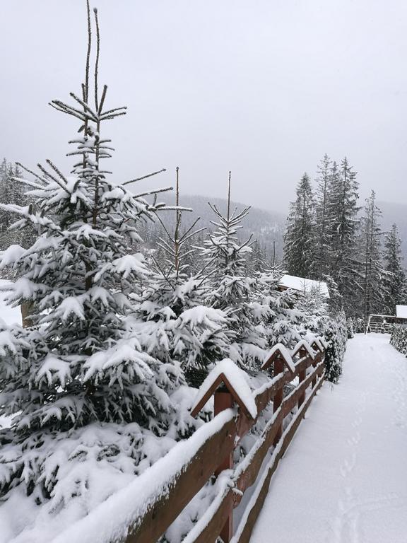 Apartament z kogutem Zakopane Kültér fotó
